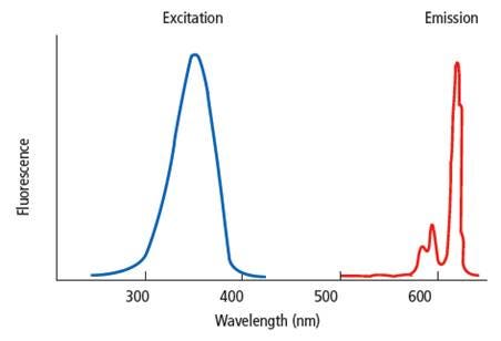 microplates-for-fluorescence-assays-fig1