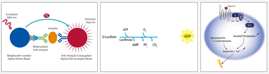 microplates-for-luminescence-assays-fig1