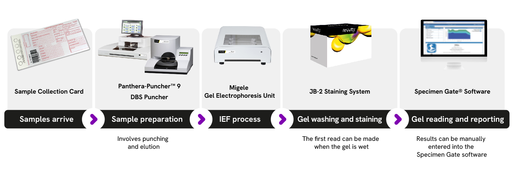 migele workflow