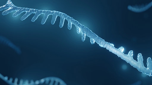 mirna-seq-analysis-thumbnail