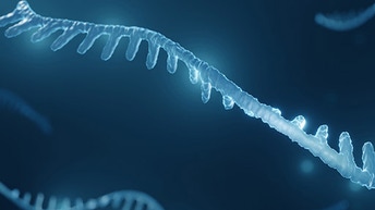 mirna-seq-analysis-thumbnail