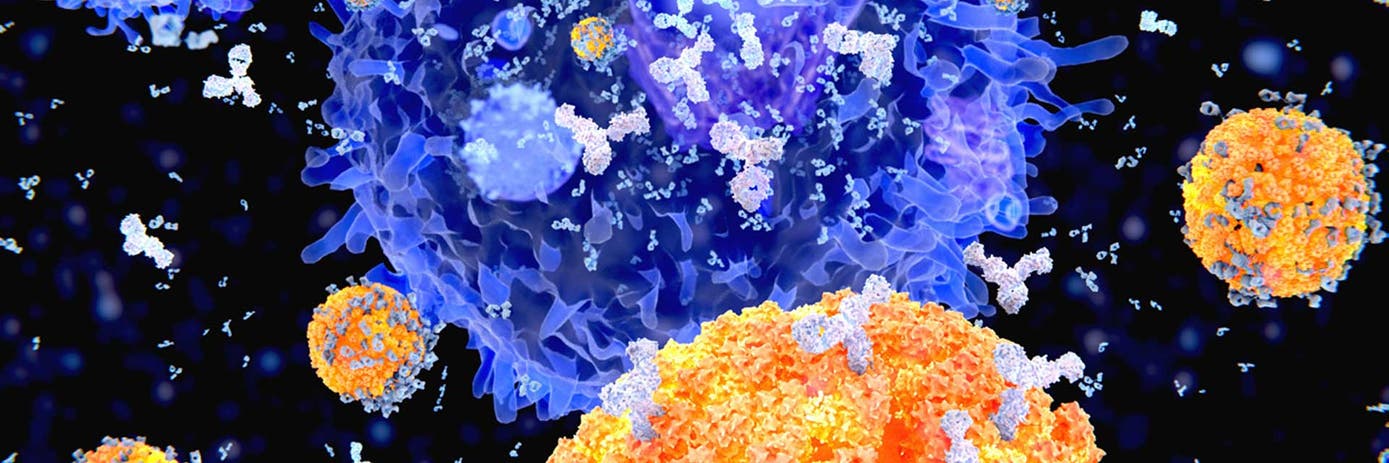 mixed-lymphocyte-reaction-assay-appnote1920x640