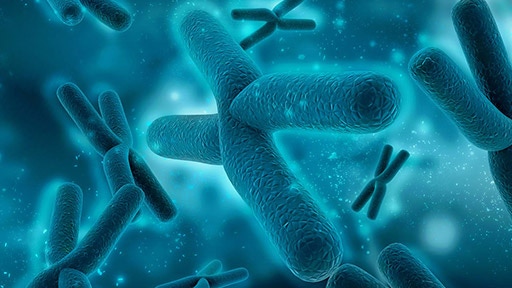 molecular-cytogenetics-thumbnail