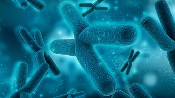 molecular-cytogenetics-thumbnail