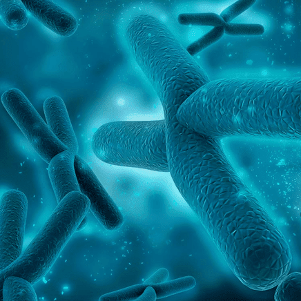 molecular-cytogenetics436-x436