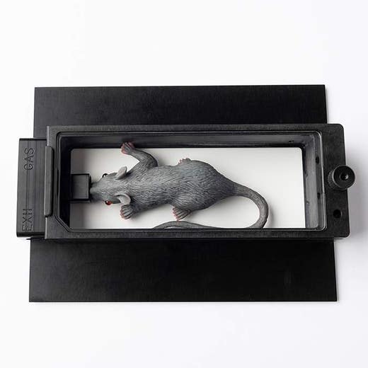 MIS-Mouse Imaging Shuttle