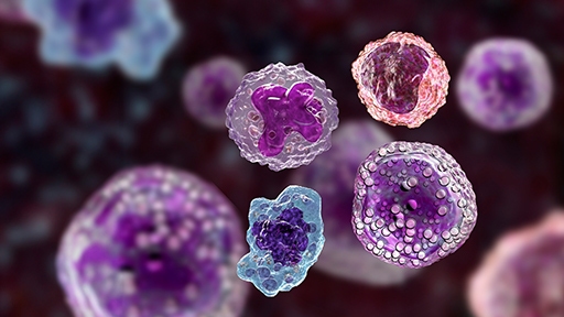 multi-cell-concept512