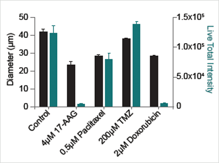 Multidrug 3D tumor spheroids viability assay