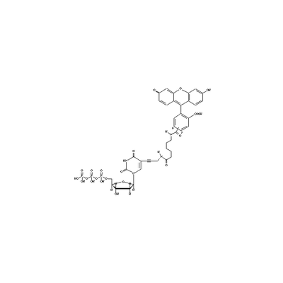 Fluorescein-12-dUTP