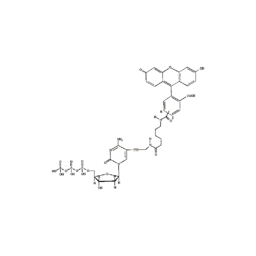 Fluorescein-12-dCTP