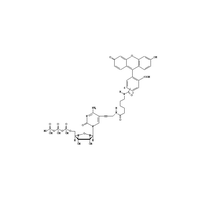 Fluorescein-12-CTP