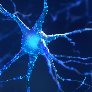 Neuroscience Research Reagents