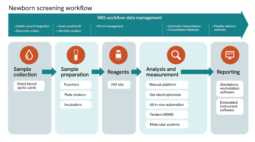 newborn screening workflow