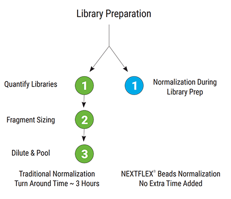 Flowchart comparing traditional library normalization (quantify, size, dilute & pool) with NEXTFLEX Rapid XP V2 on-bead normalization that adds no extra workflow time.