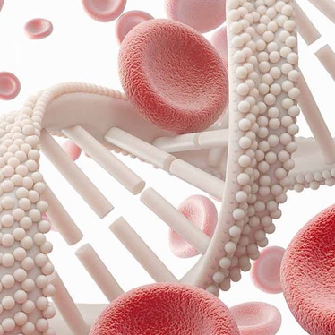 NGS PCR cfDNA Solutions