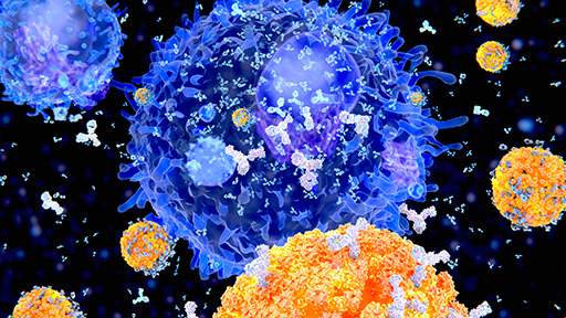 no-wash cytokine assay solutions