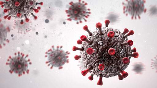 non-invasive-optical-imaging512