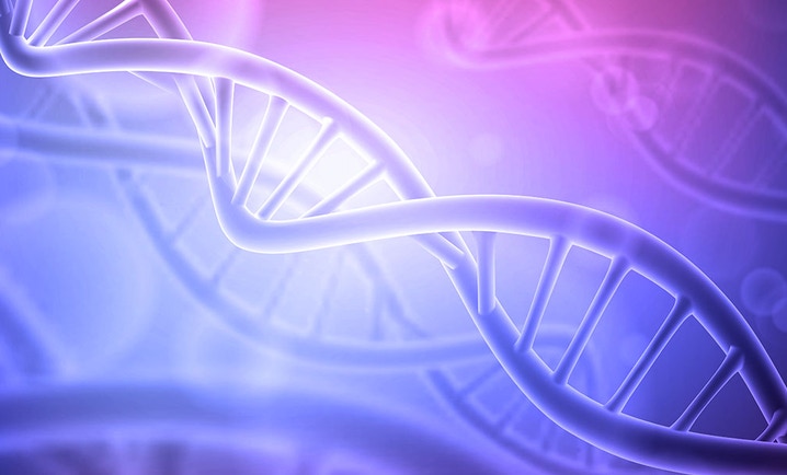 nucleic acid isolation