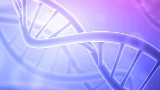 nucleic acid isolation