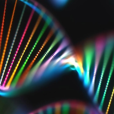 nucleotides_872 x 872 px.jpg