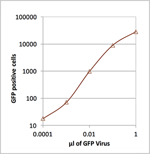 Number of lentivirus infected cells