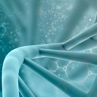 oligonucleotide custom synthesis