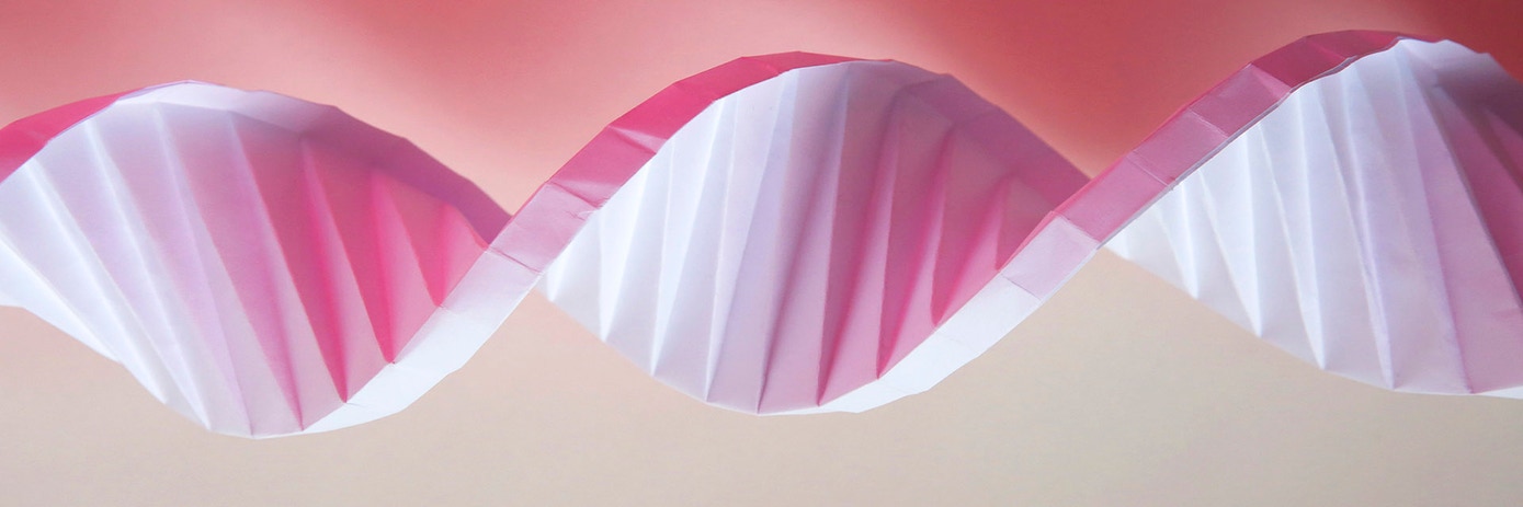 origami-dna1920x640px