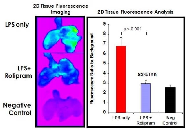 pan-cathepsin4.png