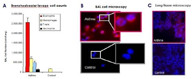 pan-cathepsin5.png