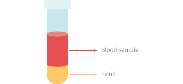 pbmc-isolation-and-cytokine-assays-made-easy