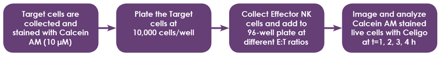 Percent cell lysis flow chart 