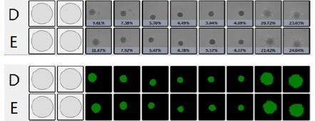 Percent confluence and represented fill view