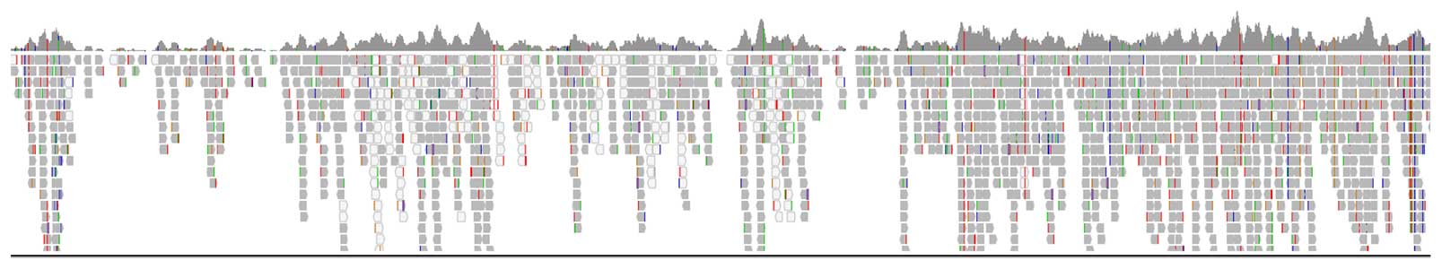 pg seq rapid kit v2 fig-1