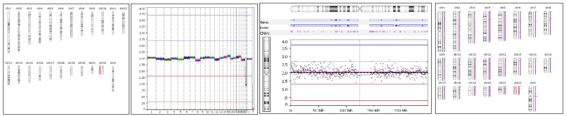 pg seq rapid kit v2 fig-2