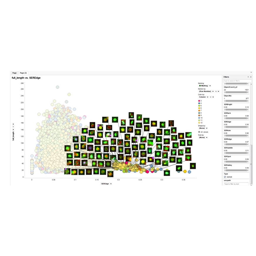 Phenotypic Screening