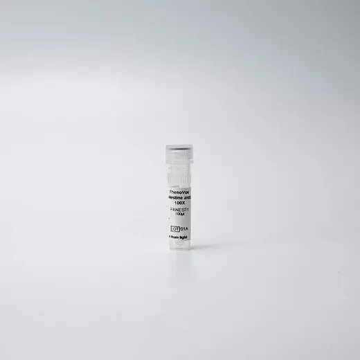 PhenoVue anti-Nestin antibody 100X | Revvity