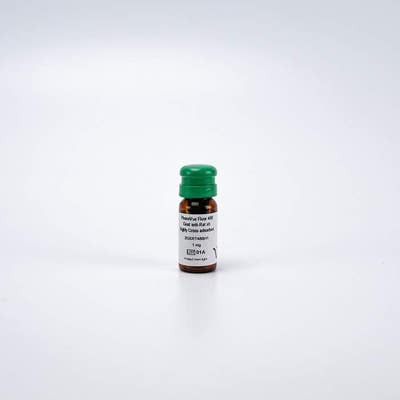 PhenoVue Fluor 488 - Goat anti-Rat Antibody Highly Cross-Adsorbed