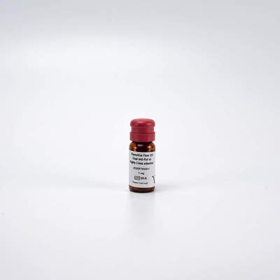 PhenoVue Fluor 555 - Goat Anti-Rat Antibody Highly Cross-Adsorbed