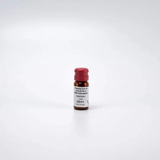 PhenoVue Fluor 555 - Goat Anti-Rat Antibody Highly Cross-Adsorbed