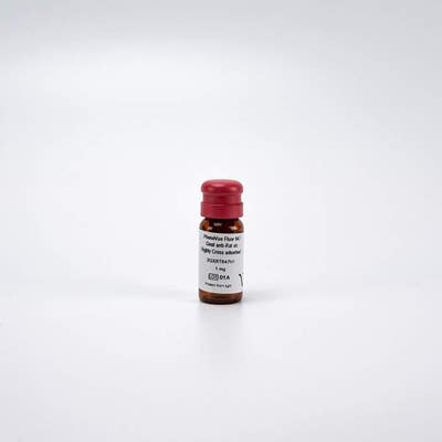 PhenoVue Fluor 647 - Goat Anti-Rat Antibody Highly Cross-Adsorbed