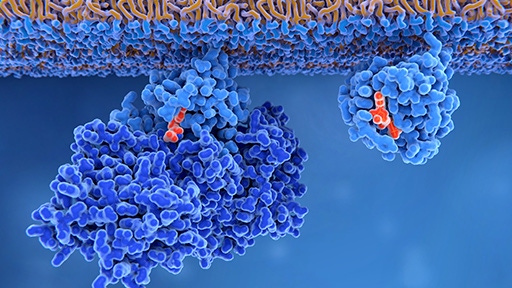 Alpha SureFire Ultra no-wash immunoassay catalog