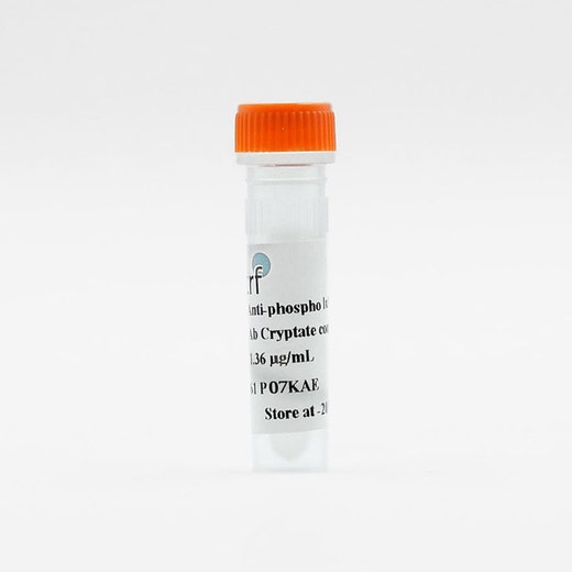 MAb Anti-phospho Histone H3 image