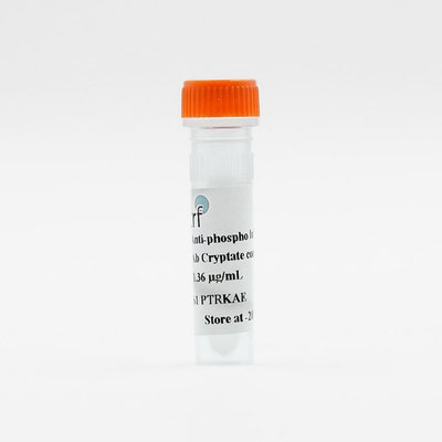 PAb Antiphosphothreonine-Eu cryptate image
