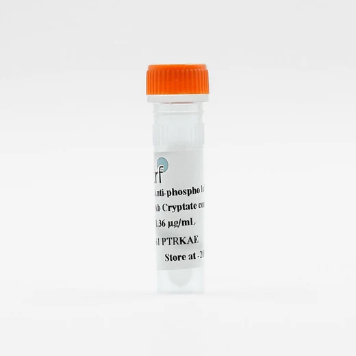 PAb Antiphosphothreonine-Eu cryptate image