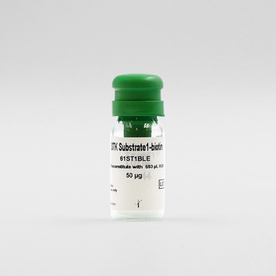 STK-Substrate 1-biotin image
