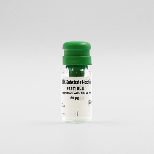 STK-Substrate 1-biotin image