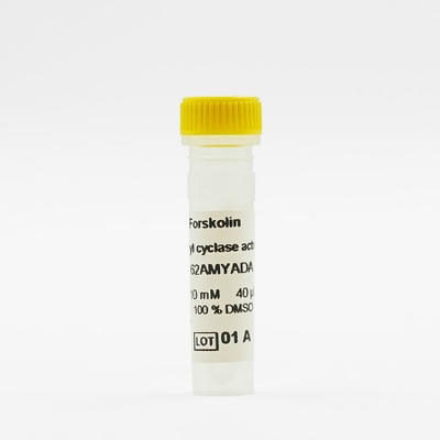 Forskolin Adenylyl cyclase activator image