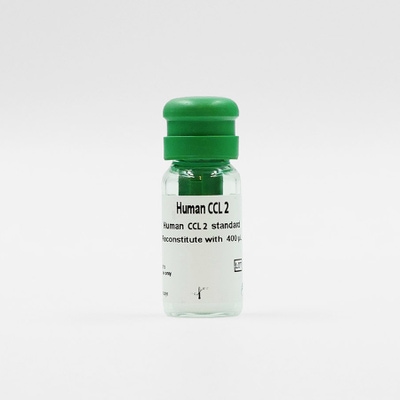 Human CCL2 kit standard image