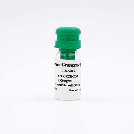 Human Granzyme B Standard image