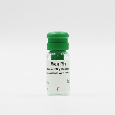 Mouse IFN gamma kit standard image
